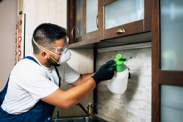 Best Wasp Removal Services  in Beavercreek, OR