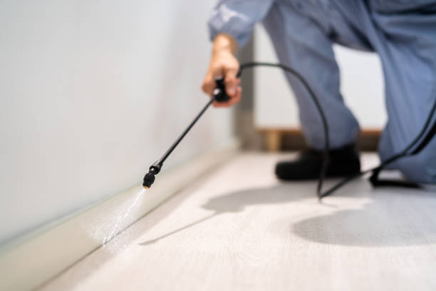 Flea Control Services in Beavercreek, OR