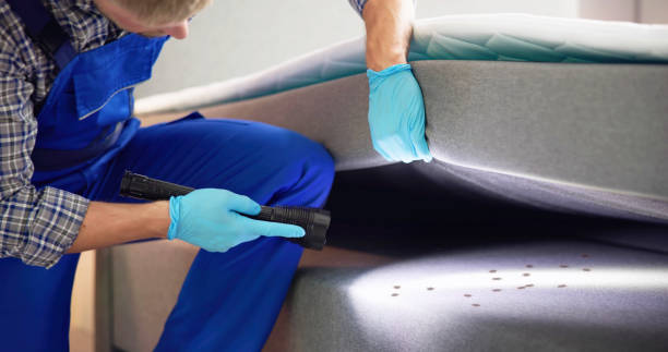 Best Pest Control Near Me  in Beavercreek, OR