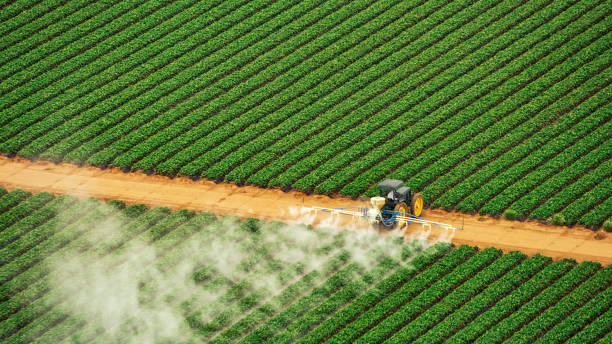 Insect Control in Beavercreek, OR