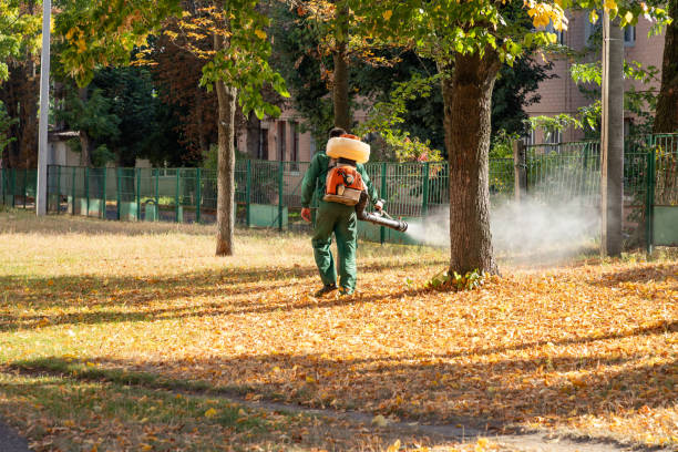 Bird Control in Beavercreek, OR