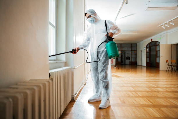 Best Flea Control Services  in Beavercreek, OR