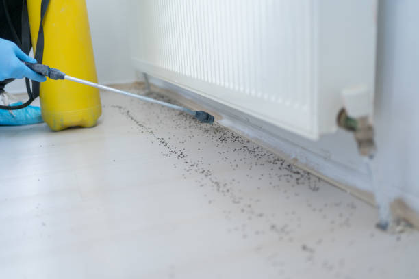 Best Commercial Pest Control Services  in Beavercreek, OR