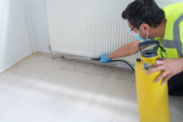 Best Mosquito Control Services  in Beavercreek, OR